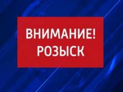 Сотрудники ГИБДД ищут свидетелей ДТП, в результате которого погиб пешеход