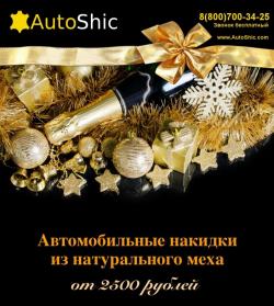 Новогоднее предложение от компании "AutoShic"!