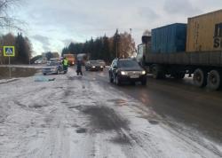 ГАЗель сбила трех человек на «зебре»