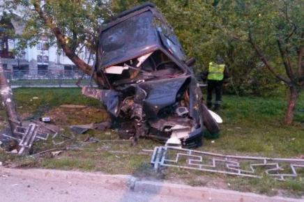 Спасаясь от полицейской погони автомобиль повис на дереве