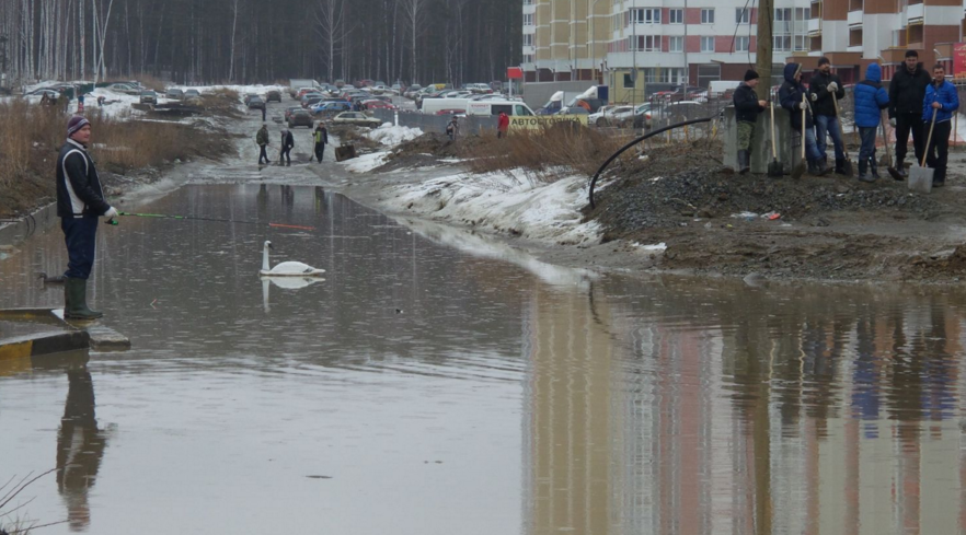 Большая лужа фото